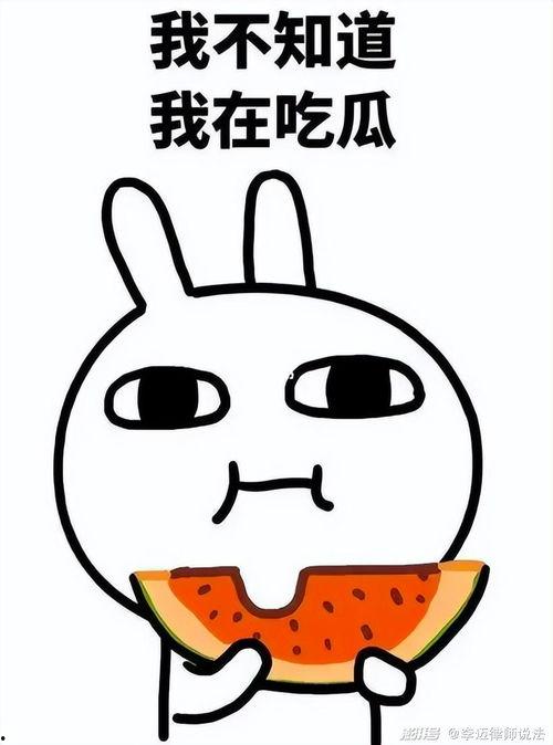 娱乐吃瓜喵栗子,揭秘娱乐圈那些不为人知的幕后故事